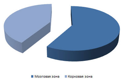 Опыт