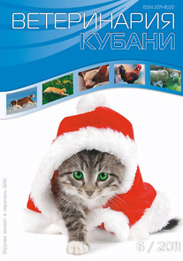 Номер 6, 2011 год