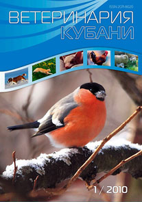 Номер 1, 2010 год