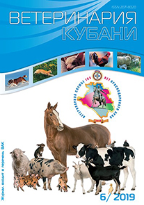 Номер 6, 2019 год