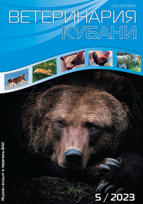 Номер 5, 2023 год