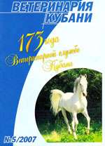 Номер 5, 2007 год