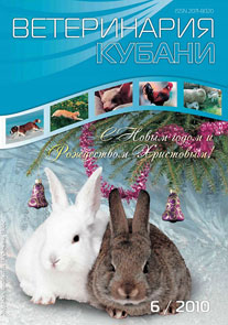 Номер 6, 2010 год