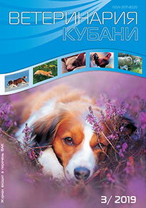 Номер 3, 2019 год