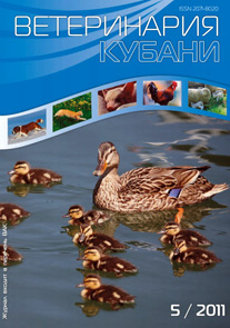 Номер 5, 2011 год