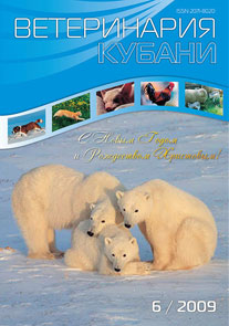 Номер 6, 2009 год