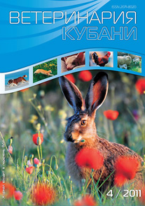 Номер 4, 2011 год