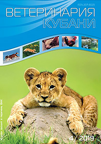 Номер 4, 2019 год