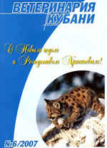 Номер 6, 2007 год