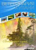 Номер 5, 2008 год