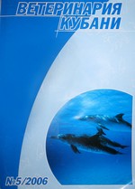 Номер 5, 2006 год