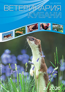 Номер 2, 2020 год